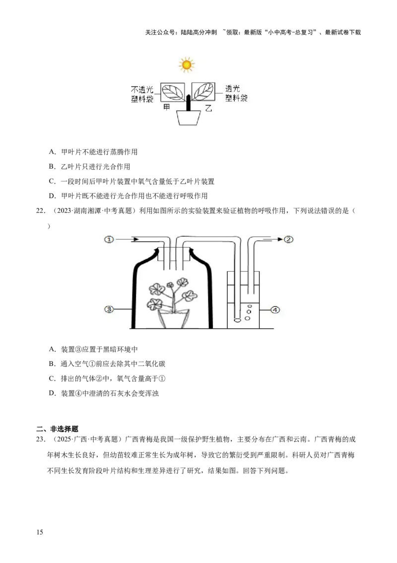 专题04绿色植物的作用（全国通用）（原卷版）_02中考总复习（2026版更新中）_08-生物-中考总复习_2026年中考复习（更新中）