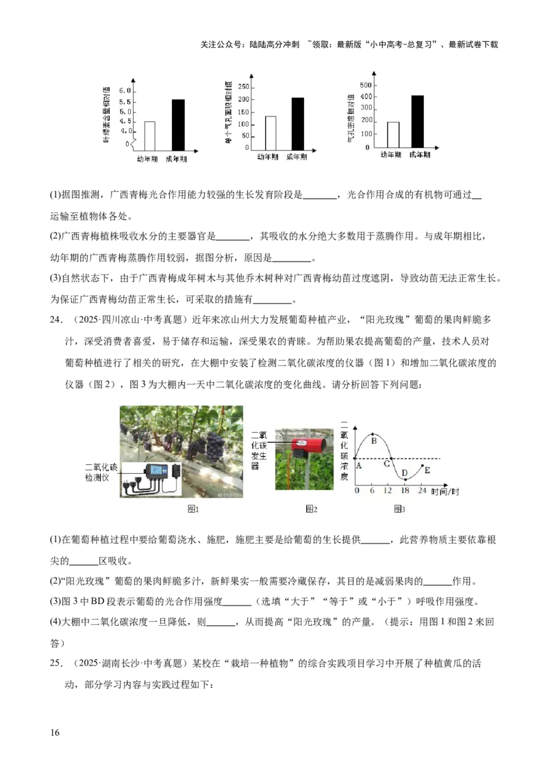专题04绿色植物的作用（全国通用）（原卷版）_02中考总复习（2026版更新中）_08-生物-中考总复习_2026年中考复习（更新中）