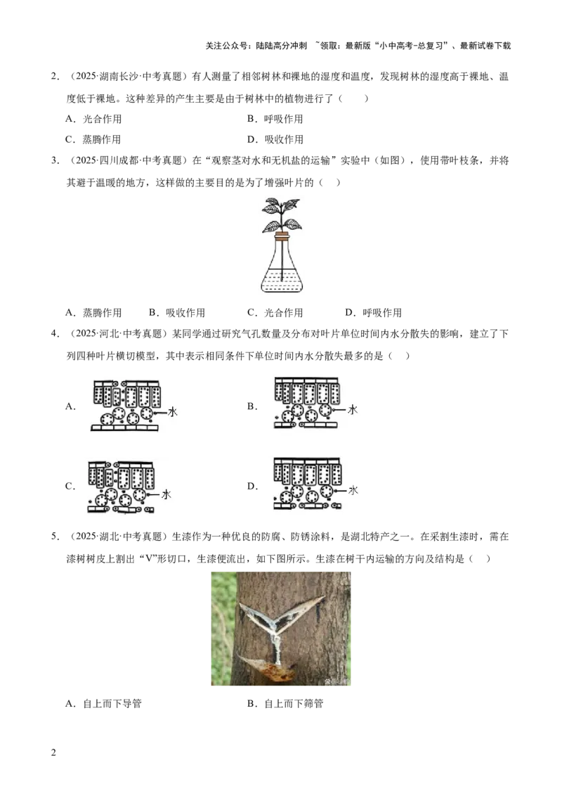 专题04绿色植物的作用（全国通用）（原卷版）_02中考总复习（2026版更新中）_08-生物-中考总复习_2026年中考复习（更新中）