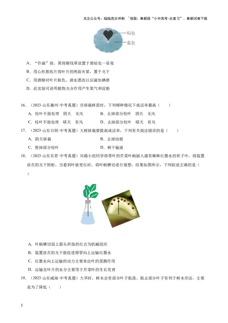 专题04绿色植物的作用（全国通用）（原卷版）_02中考总复习（2026版更新中）_08-生物-中考总复习_2026年中考复习（更新中）