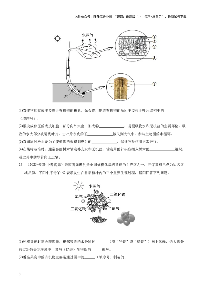专题04绿色植物的作用（全国通用）（原卷版）_02中考总复习（2026版更新中）_08-生物-中考总复习_2026年中考复习（更新中）