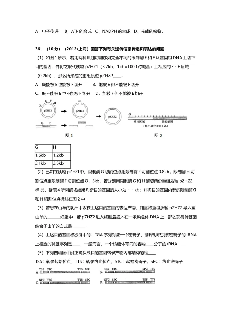 2012年上海市高中毕业统一学业考试生物试卷（原卷版）_全国卷+地方卷_6.生物_1.生物高考真题试卷_2008-2020年_地方卷_上海高考生物真题01-20