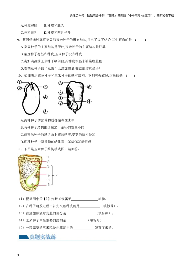 专题04生物圈中有哪些绿色植物（练习）（原卷版）_02中考总复习（2026版更新中）_08-生物-中考总复习_2024年中考复习资料_一轮复习_❤2024年中考生物一轮复习讲练测（全国通用）_练习
