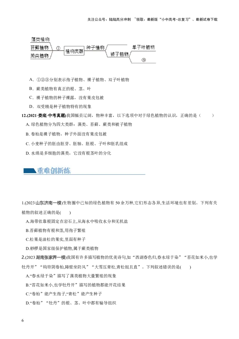 专题04生物圈中有哪些绿色植物（练习）（原卷版）_02中考总复习（2026版更新中）_08-生物-中考总复习_2024年中考复习资料_一轮复习_❤2024年中考生物一轮复习讲练测（全国通用）_练习