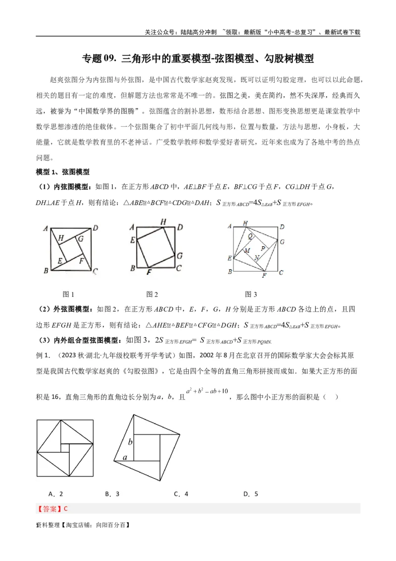 专题09三角形中的重要模型-弦图模型、勾股树模型（解析版）_02中考总复习（2026版更新中）_02-数学-中考总复习_2024年中考复习资料_专项复习资料_答案解析版