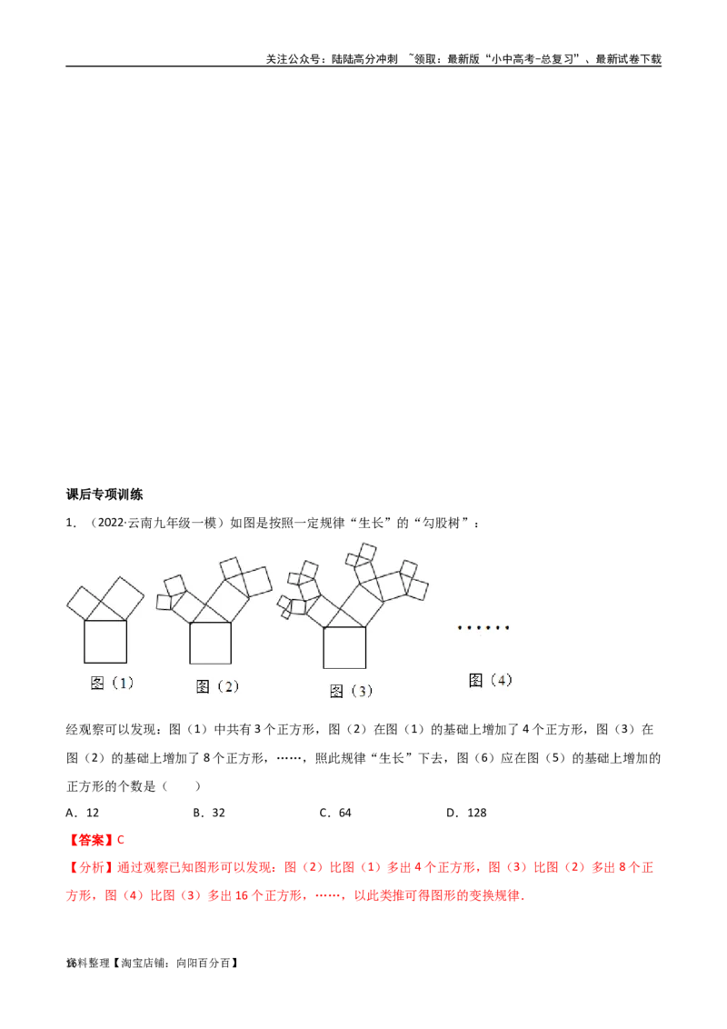 专题09三角形中的重要模型-弦图模型、勾股树模型（解析版）_02中考总复习（2026版更新中）_02-数学-中考总复习_2024年中考复习资料_专项复习资料_答案解析版