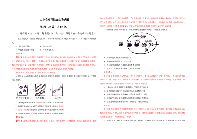 2013年高考真题生物（山东卷）（解析版）_全国卷+地方卷_6.生物_1.生物高考真题试卷_2008-2020年_地方卷_山东高考生物08-21_山东高考生物_A3版