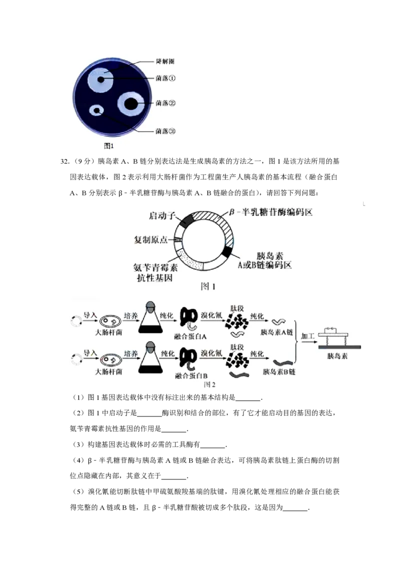 2015年江苏省高考生物试卷_全国卷+地方卷_6.生物_1.生物高考真题试卷_2008-2020年_地方卷_江苏高考生物07-20_A4word版_PDF版（赠送）