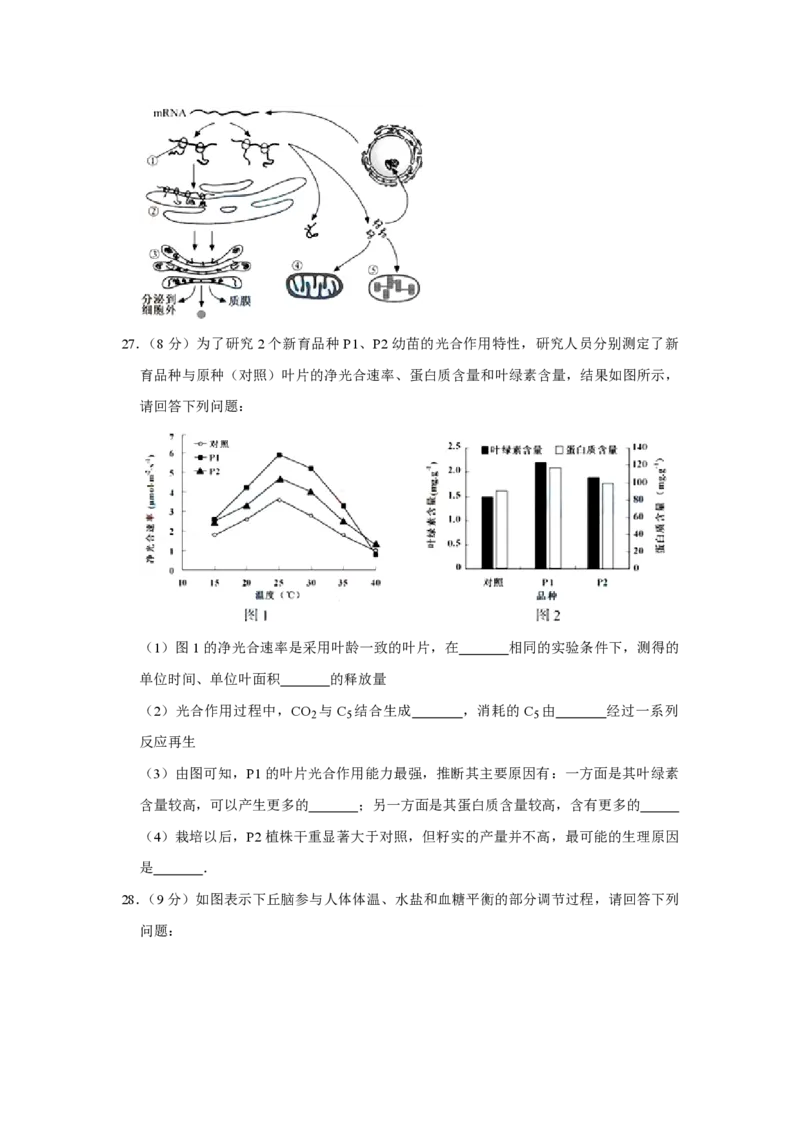 2015年江苏省高考生物试卷_全国卷+地方卷_6.生物_1.生物高考真题试卷_2008-2020年_地方卷_江苏高考生物07-20_A4word版_PDF版（赠送）