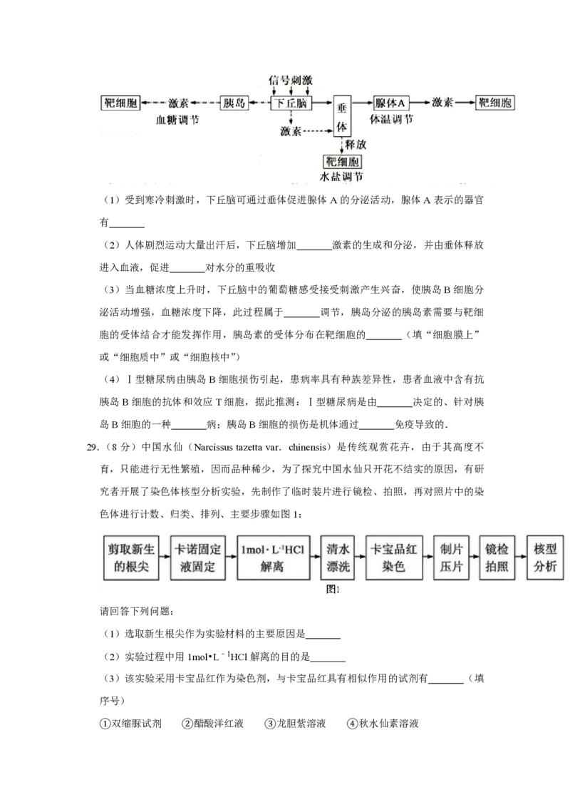 2015年江苏省高考生物试卷_全国卷+地方卷_6.生物_1.生物高考真题试卷_2008-2020年_地方卷_江苏高考生物07-20_A4word版_PDF版（赠送）