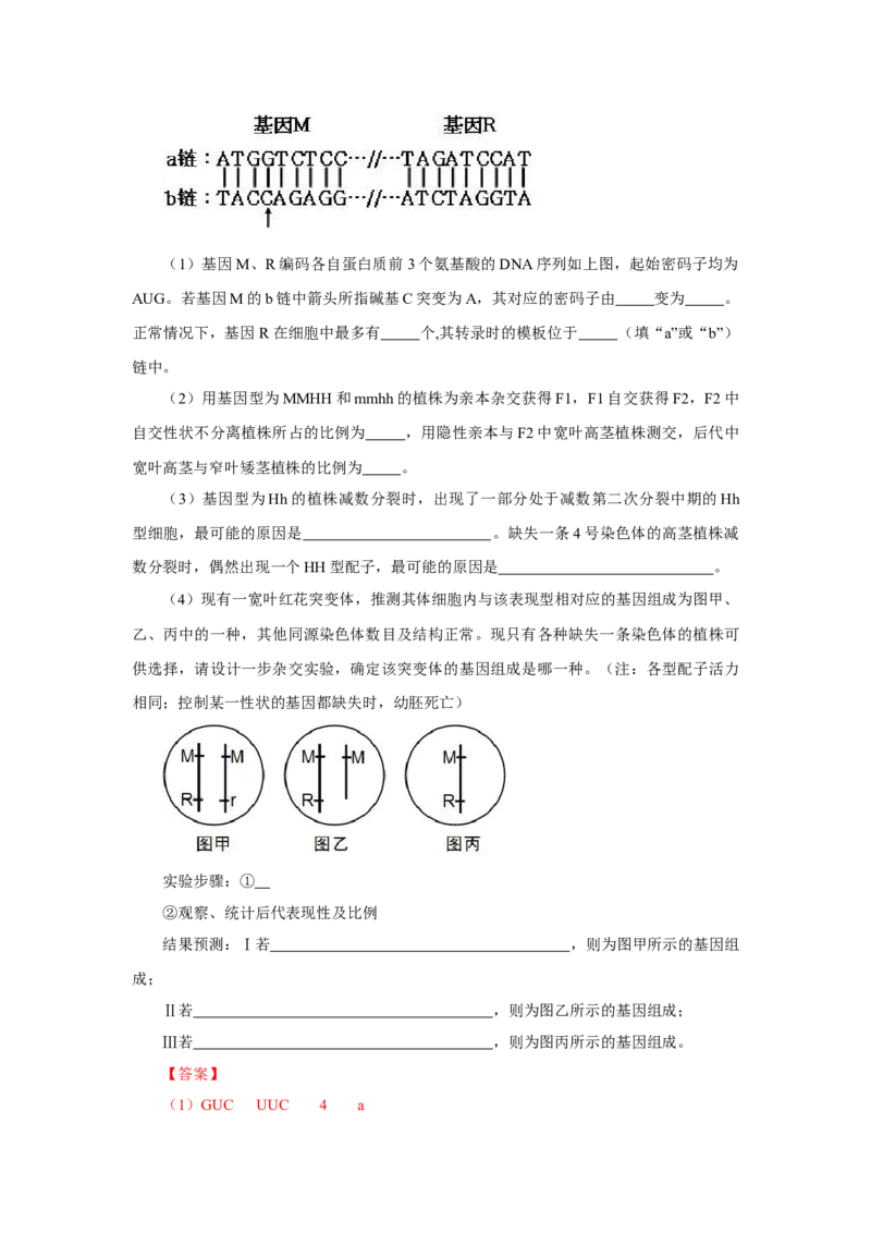 2013年高考真题生物（山东卷）（解析版）_全国卷+地方卷_6.生物_1.生物高考真题试卷_2008-2020年_地方卷_山东高考生物08-21_山东高考生物_A4版