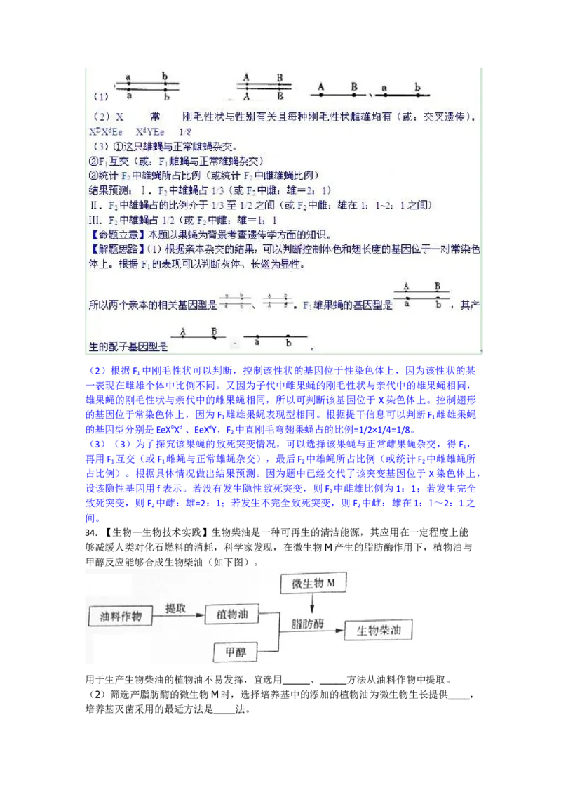 2010年高考真题生物（山东卷）（解析版）_全国卷+地方卷_6.生物_1.生物高考真题试卷_2008-2020年_地方卷_山东高考生物08-21_山东高考生物_A4版