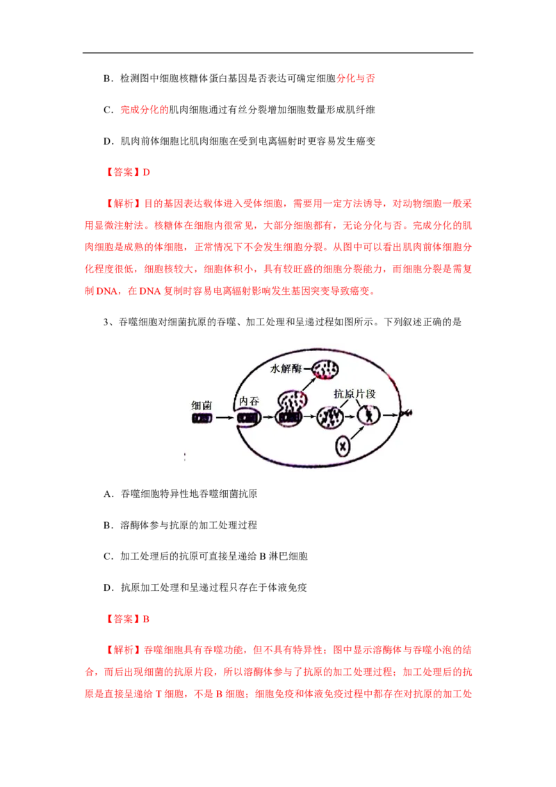2013年高考真题生物（山东卷）（解析版）_全国卷+地方卷_6.生物_1.生物高考真题试卷_2008-2020年_地方卷_山东高考生物08-21_山东高考生物_A4版_pdf版