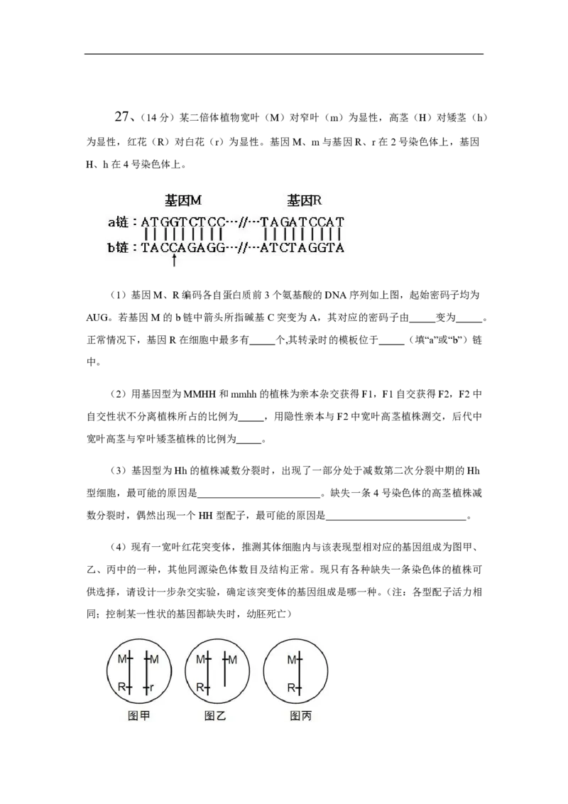 2013年高考真题生物（山东卷）（解析版）_全国卷+地方卷_6.生物_1.生物高考真题试卷_2008-2020年_地方卷_山东高考生物08-21_山东高考生物_A4版_pdf版