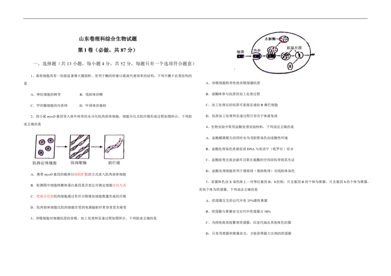 2013年高考真题生物（山东卷）（原卷版）_全国卷+地方卷_6.生物_1.生物高考真题试卷_2008-2020年_地方卷_山东高考生物08-21_山东高考生物_A3版_pdf版