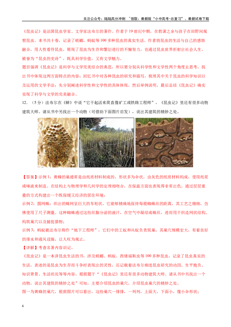 专题06《昆虫记》-2025年中考语文名著导读分层闯关训练（解析版）_02中考总复习（2026版更新中）_01-语文-中考总复习_2025年中考资料_2025年中考语文名著导读分层闯关训练
