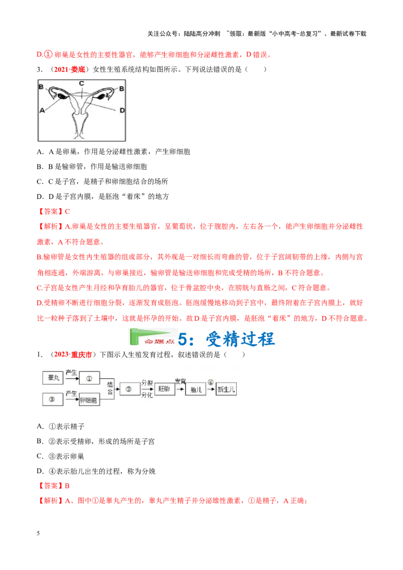 专题05&nbsp;人的由来（解析版）_02中考总复习（2026版更新中）_08-生物-中考总复习_2024年中考复习资料_专项复习_完三年（2021-2023）中考生物真题分项汇编（全国通用）_答案解析版