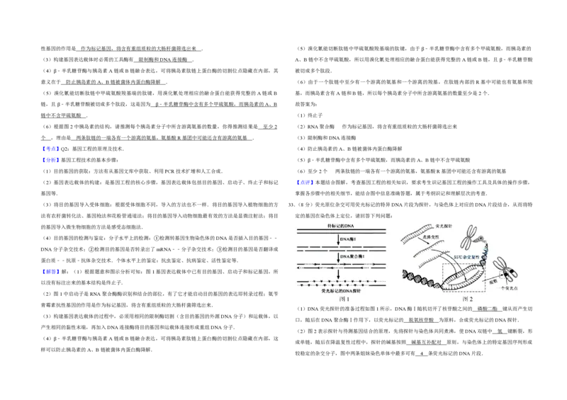 2015年江苏省高考生物试卷解析版_全国卷+地方卷_6.生物_1.生物高考真题试卷_2008-2020年_地方卷_江苏高考生物07-20_A3word版_PDF版（赠送）