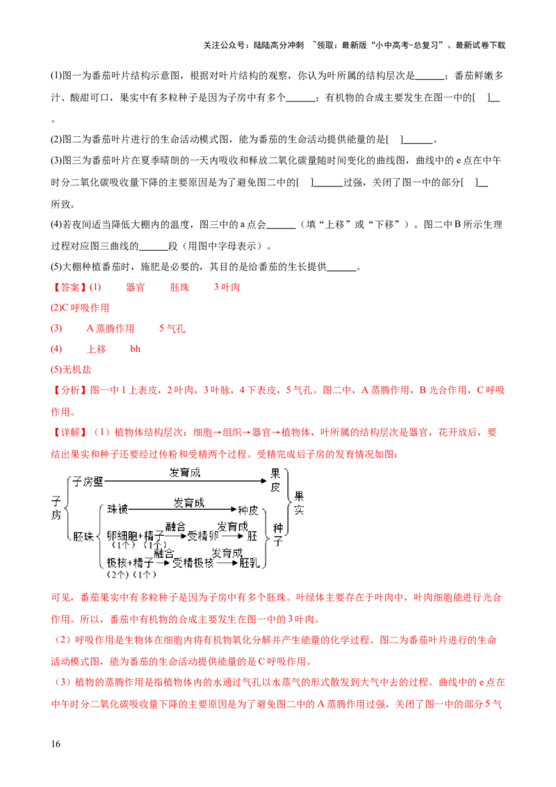 专题08绿色植物的呼吸作用（解析版）_02中考总复习（2026版更新中）_08-生物-中考总复习_2024年中考复习资料_一轮复习_❤备战2024年中考生物一轮复习考点帮（全国通用）_练习