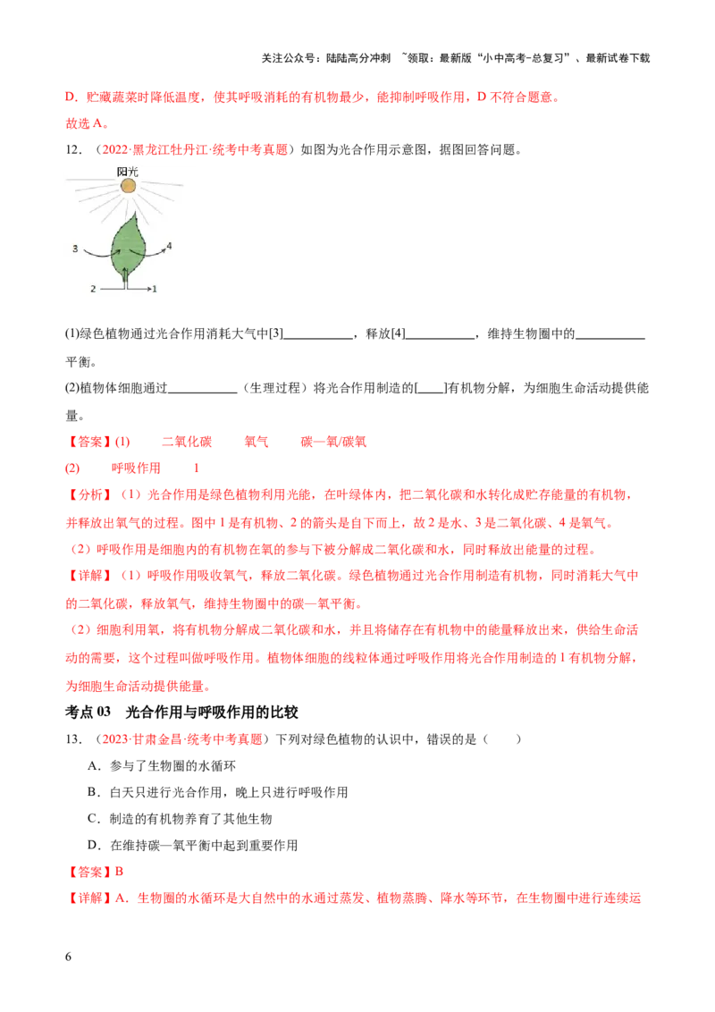 专题08绿色植物的呼吸作用（解析版）_02中考总复习（2026版更新中）_08-生物-中考总复习_2024年中考复习资料_一轮复习_❤备战2024年中考生物一轮复习考点帮（全国通用）_练习