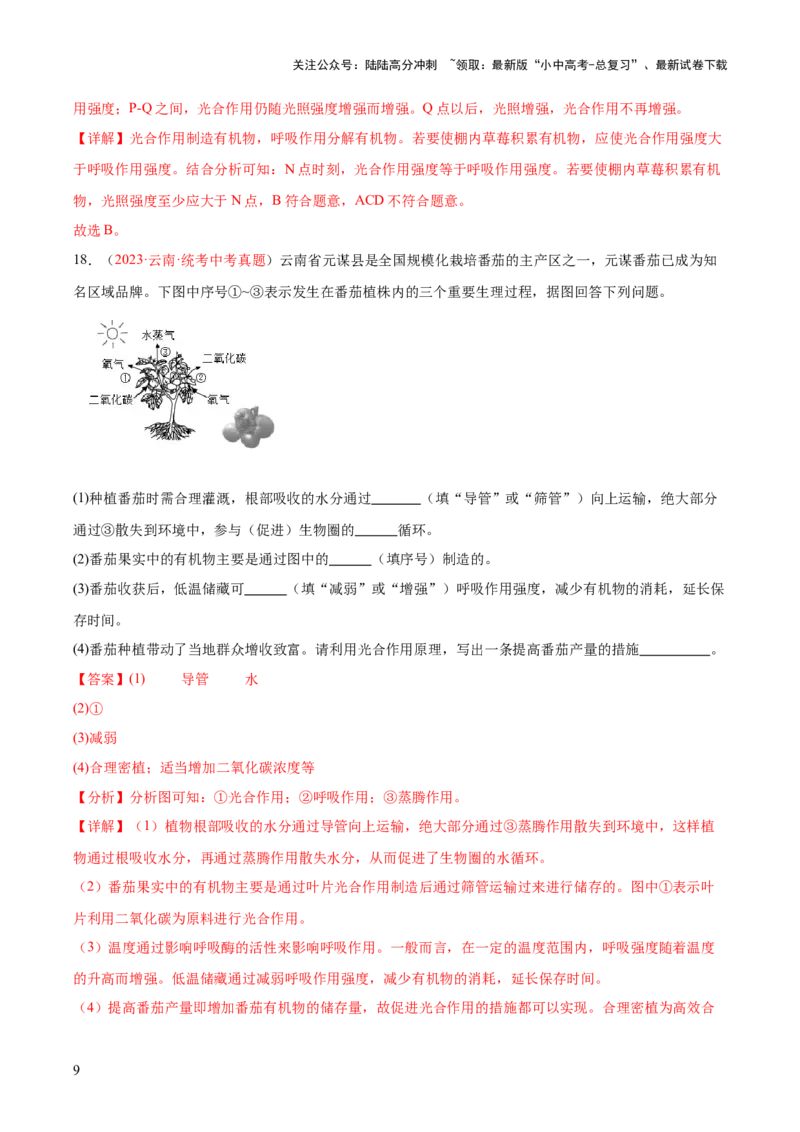 专题08绿色植物的呼吸作用（解析版）_02中考总复习（2026版更新中）_08-生物-中考总复习_2024年中考复习资料_一轮复习_❤备战2024年中考生物一轮复习考点帮（全国通用）_练习