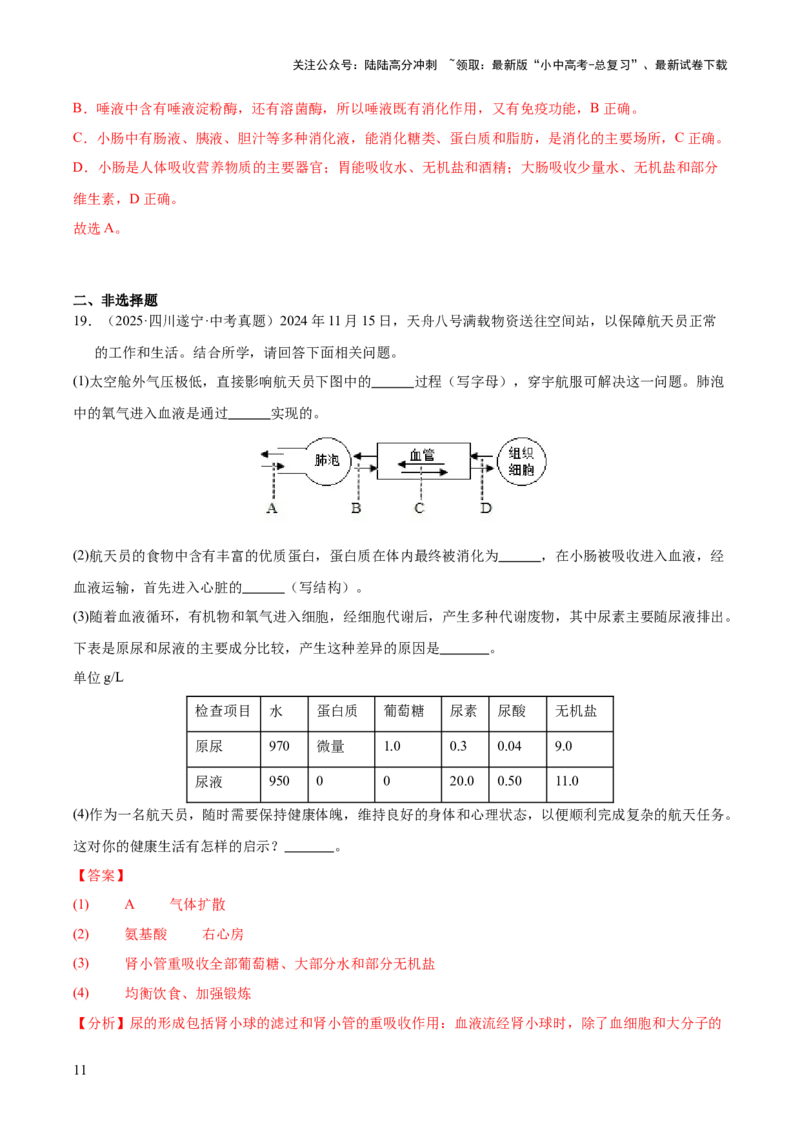 专题05人体的营养和呼吸（全国通用）（解析版）_02中考总复习（2026版更新中）_08-生物-中考总复习_2026年中考复习（更新中）