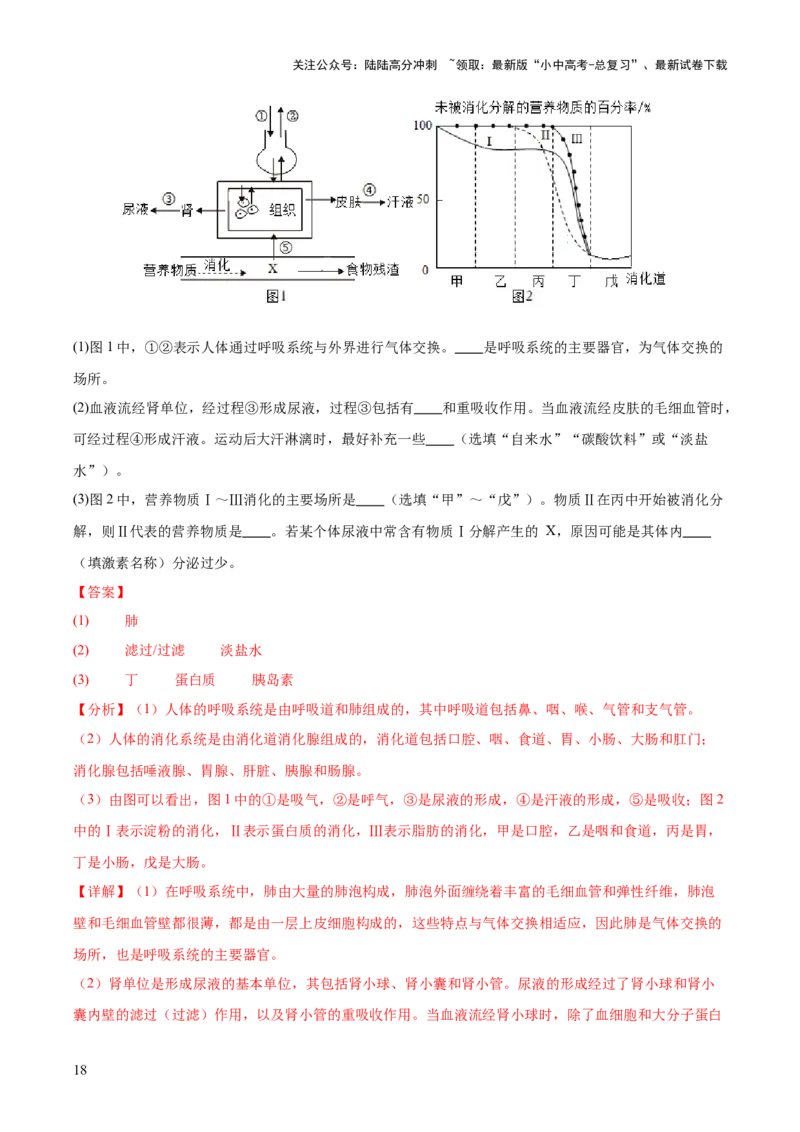 专题05人体的营养和呼吸（全国通用）（解析版）_02中考总复习（2026版更新中）_08-生物-中考总复习_2026年中考复习（更新中）