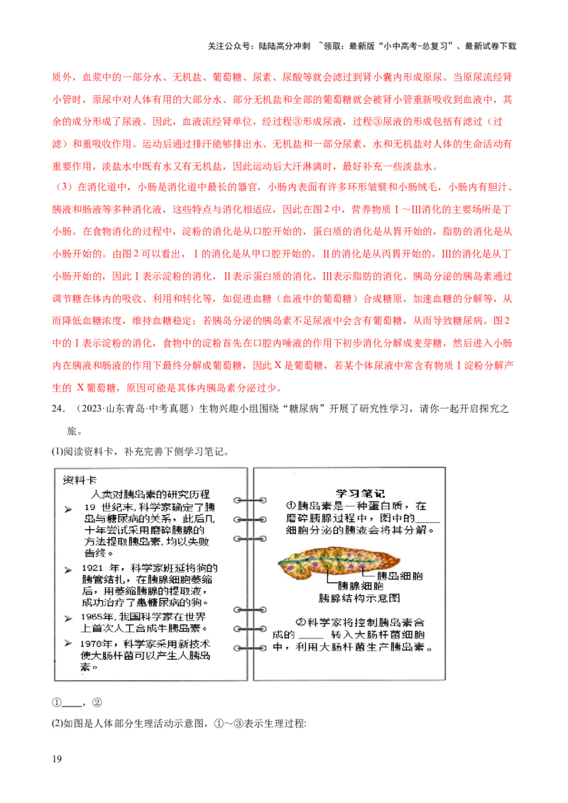 专题05人体的营养和呼吸（全国通用）（解析版）_02中考总复习（2026版更新中）_08-生物-中考总复习_2026年中考复习（更新中）