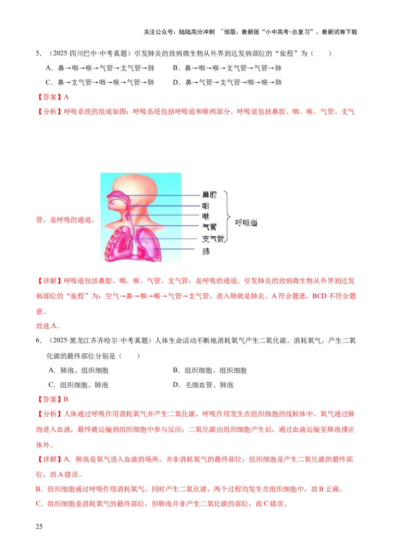 专题05人体的营养和呼吸（全国通用）（解析版）_02中考总复习（2026版更新中）_08-生物-中考总复习_2026年中考复习（更新中）