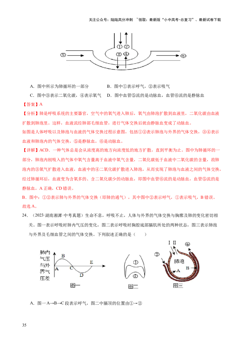 专题05人体的营养和呼吸（全国通用）（解析版）_02中考总复习（2026版更新中）_08-生物-中考总复习_2026年中考复习（更新中）
