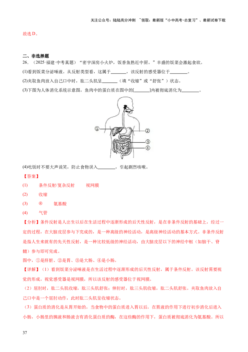 专题05人体的营养和呼吸（全国通用）（解析版）_02中考总复习（2026版更新中）_08-生物-中考总复习_2026年中考复习（更新中）