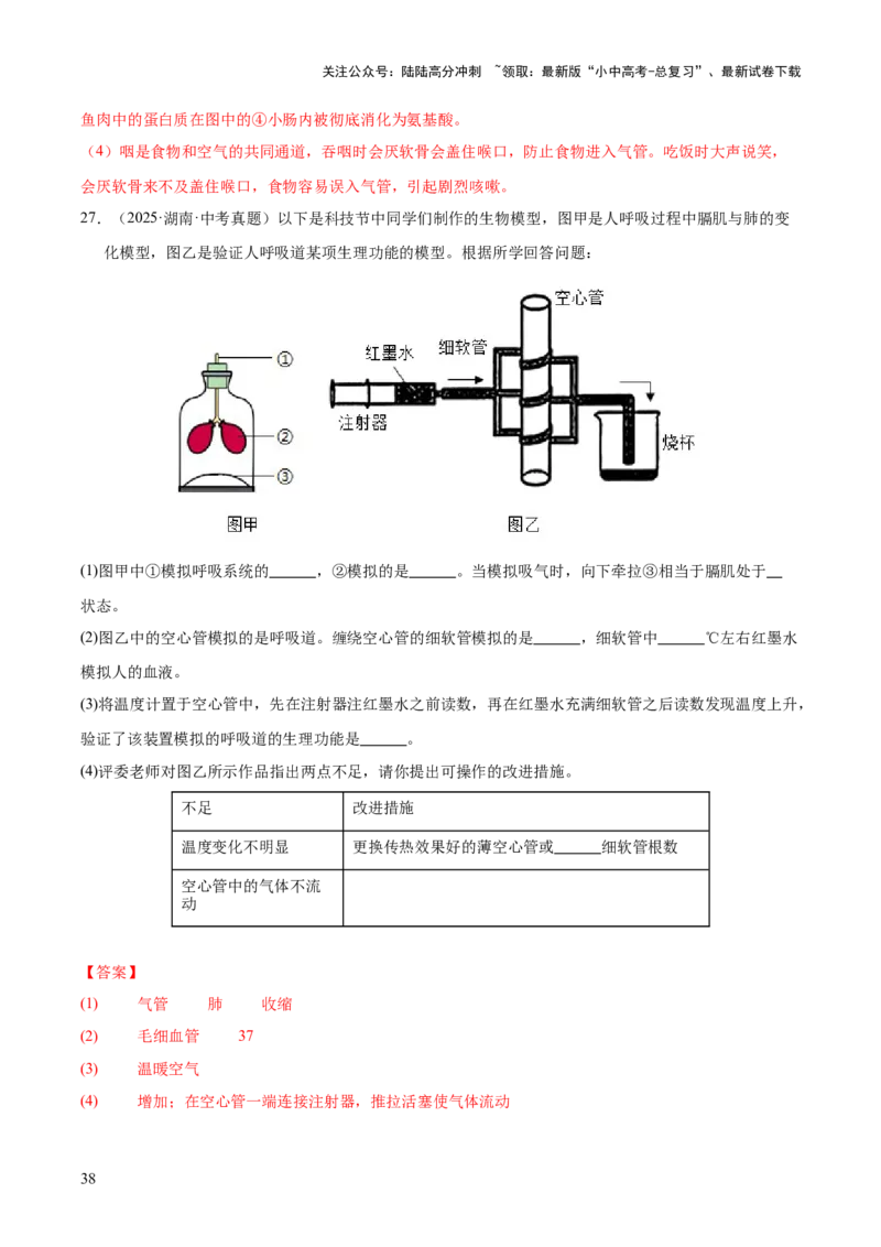 专题05人体的营养和呼吸（全国通用）（解析版）_02中考总复习（2026版更新中）_08-生物-中考总复习_2026年中考复习（更新中）