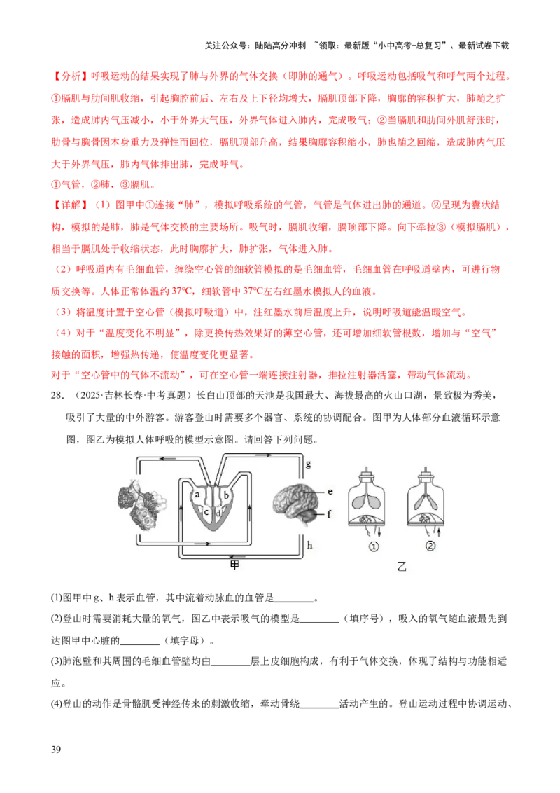 专题05人体的营养和呼吸（全国通用）（解析版）_02中考总复习（2026版更新中）_08-生物-中考总复习_2026年中考复习（更新中）