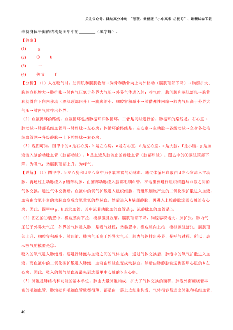 专题05人体的营养和呼吸（全国通用）（解析版）_02中考总复习（2026版更新中）_08-生物-中考总复习_2026年中考复习（更新中）