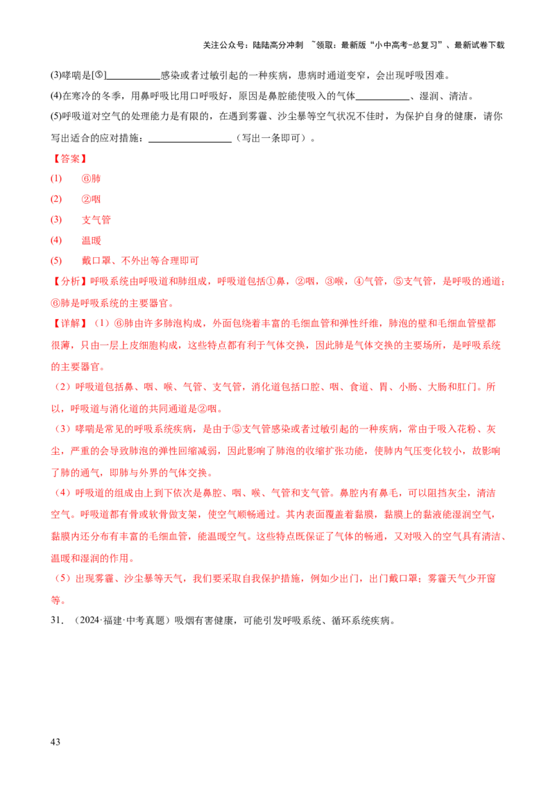 专题05人体的营养和呼吸（全国通用）（解析版）_02中考总复习（2026版更新中）_08-生物-中考总复习_2026年中考复习（更新中）