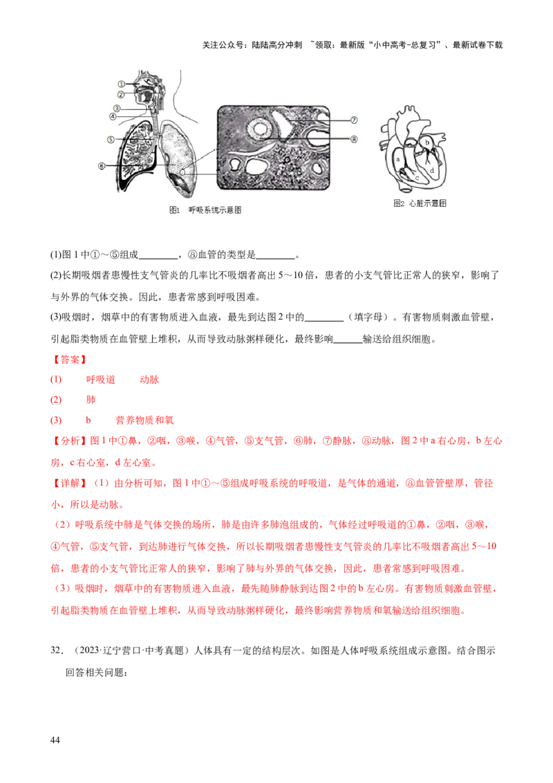 专题05人体的营养和呼吸（全国通用）（解析版）_02中考总复习（2026版更新中）_08-生物-中考总复习_2026年中考复习（更新中）