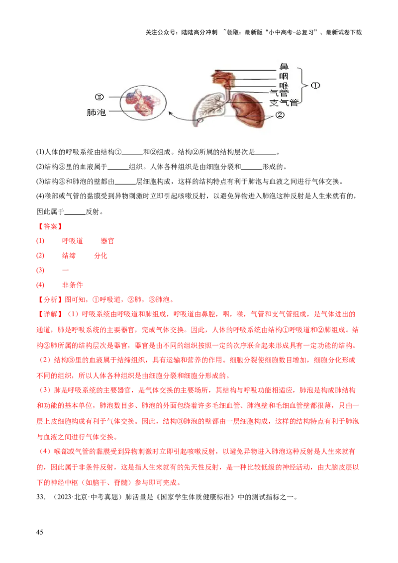 专题05人体的营养和呼吸（全国通用）（解析版）_02中考总复习（2026版更新中）_08-生物-中考总复习_2026年中考复习（更新中）