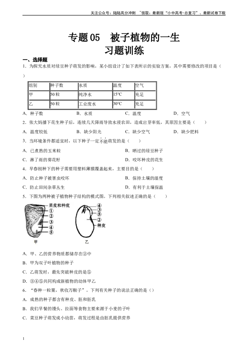 专题05被子植物的一生（习题精练）（原卷版）_02中考总复习（2026版更新中）_08-生物-中考总复习_2024年中考复习资料_一轮复习_省心备考2024年中考生物一轮复习精讲精练（全国通用）