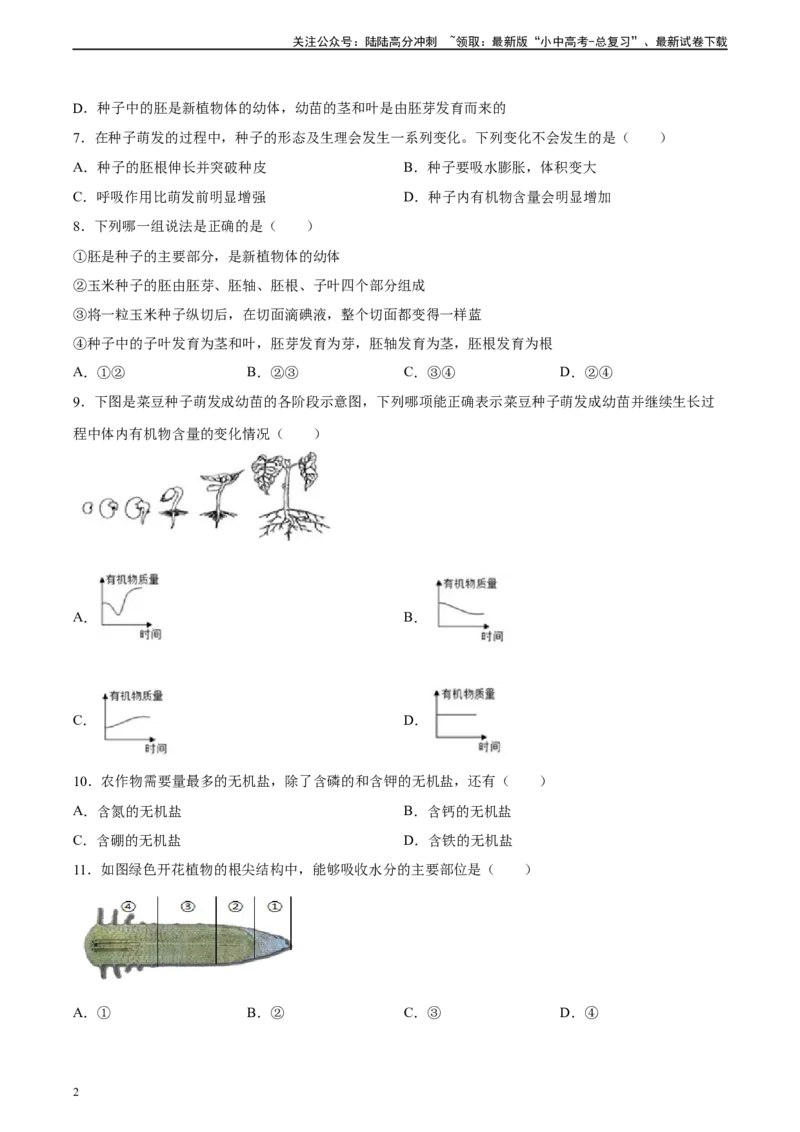 专题05被子植物的一生（习题精练）（原卷版）_02中考总复习（2026版更新中）_08-生物-中考总复习_2024年中考复习资料_一轮复习_省心备考2024年中考生物一轮复习精讲精练（全国通用）