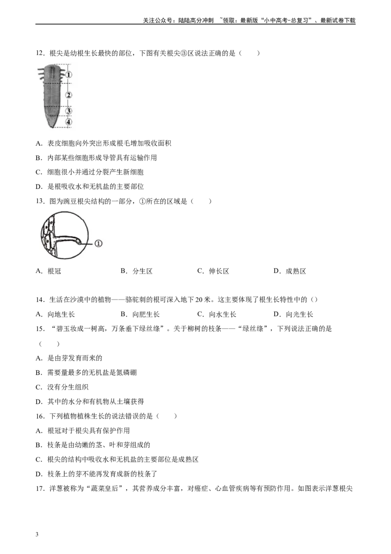 专题05被子植物的一生（习题精练）（原卷版）_02中考总复习（2026版更新中）_08-生物-中考总复习_2024年中考复习资料_一轮复习_省心备考2024年中考生物一轮复习精讲精练（全国通用）