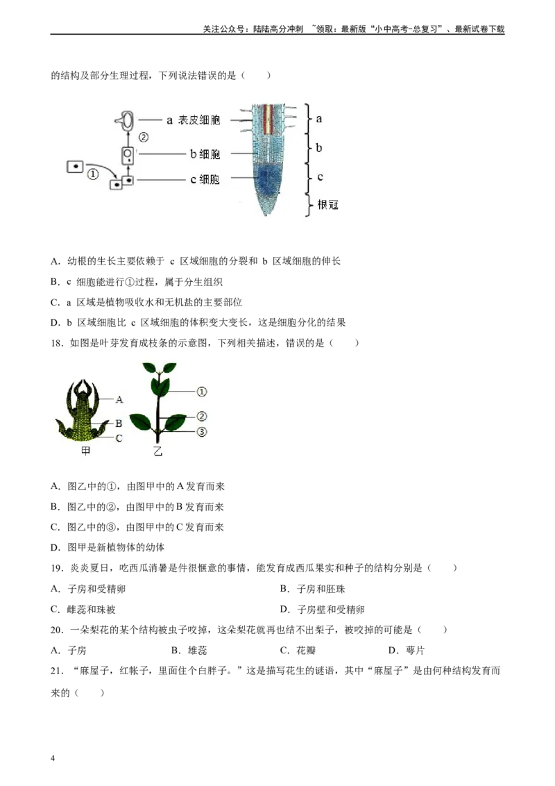专题05被子植物的一生（习题精练）（原卷版）_02中考总复习（2026版更新中）_08-生物-中考总复习_2024年中考复习资料_一轮复习_省心备考2024年中考生物一轮复习精讲精练（全国通用）