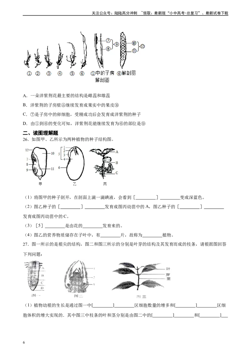专题05被子植物的一生（习题精练）（原卷版）_02中考总复习（2026版更新中）_08-生物-中考总复习_2024年中考复习资料_一轮复习_省心备考2024年中考生物一轮复习精讲精练（全国通用）