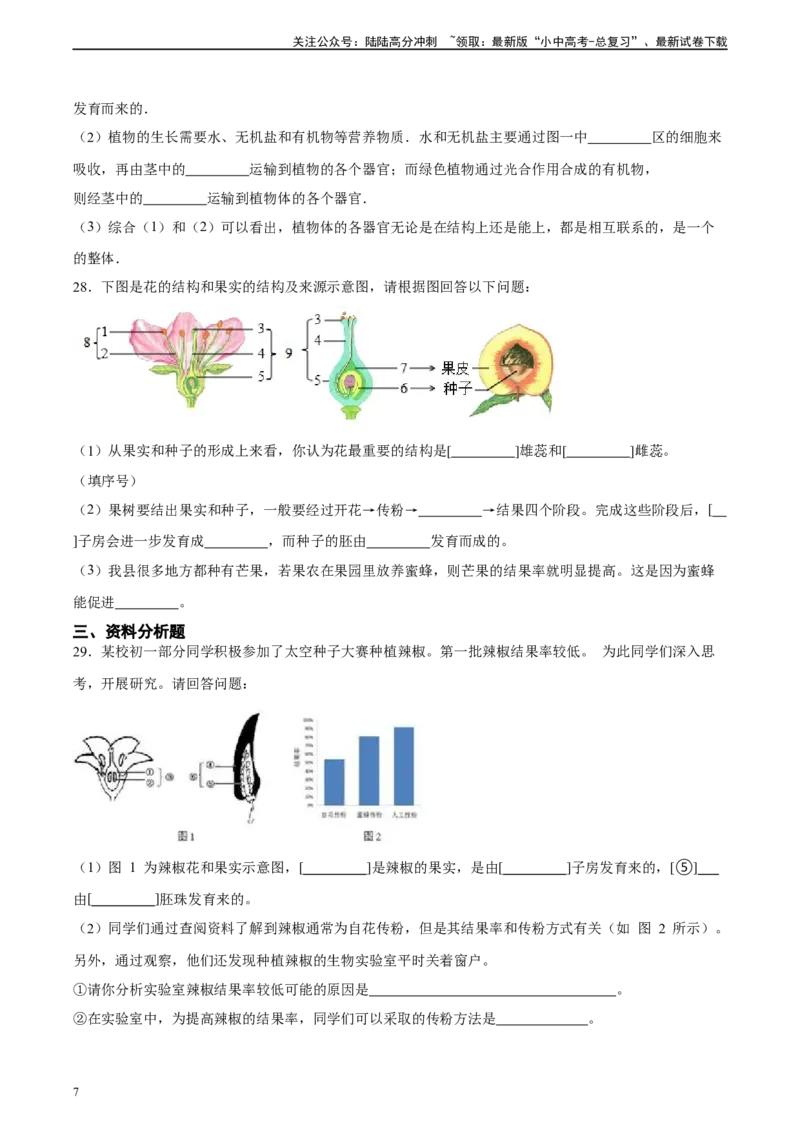 专题05被子植物的一生（习题精练）（原卷版）_02中考总复习（2026版更新中）_08-生物-中考总复习_2024年中考复习资料_一轮复习_省心备考2024年中考生物一轮复习精讲精练（全国通用）
