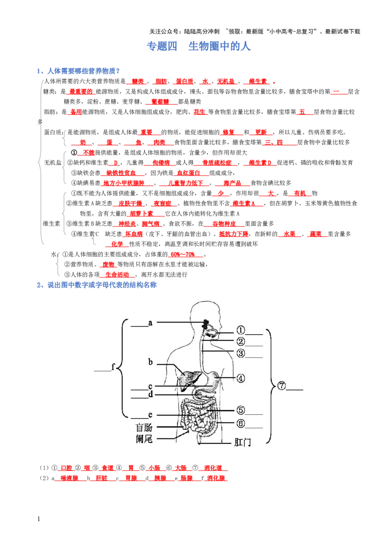 专题04生物圈中的人（背诵版）_02中考总复习（2026版更新中）_08-生物-中考总复习_2025中考复习资料_2025年中考生物知识梳理_专题04生物圈中的人_专题04生物圈中的人