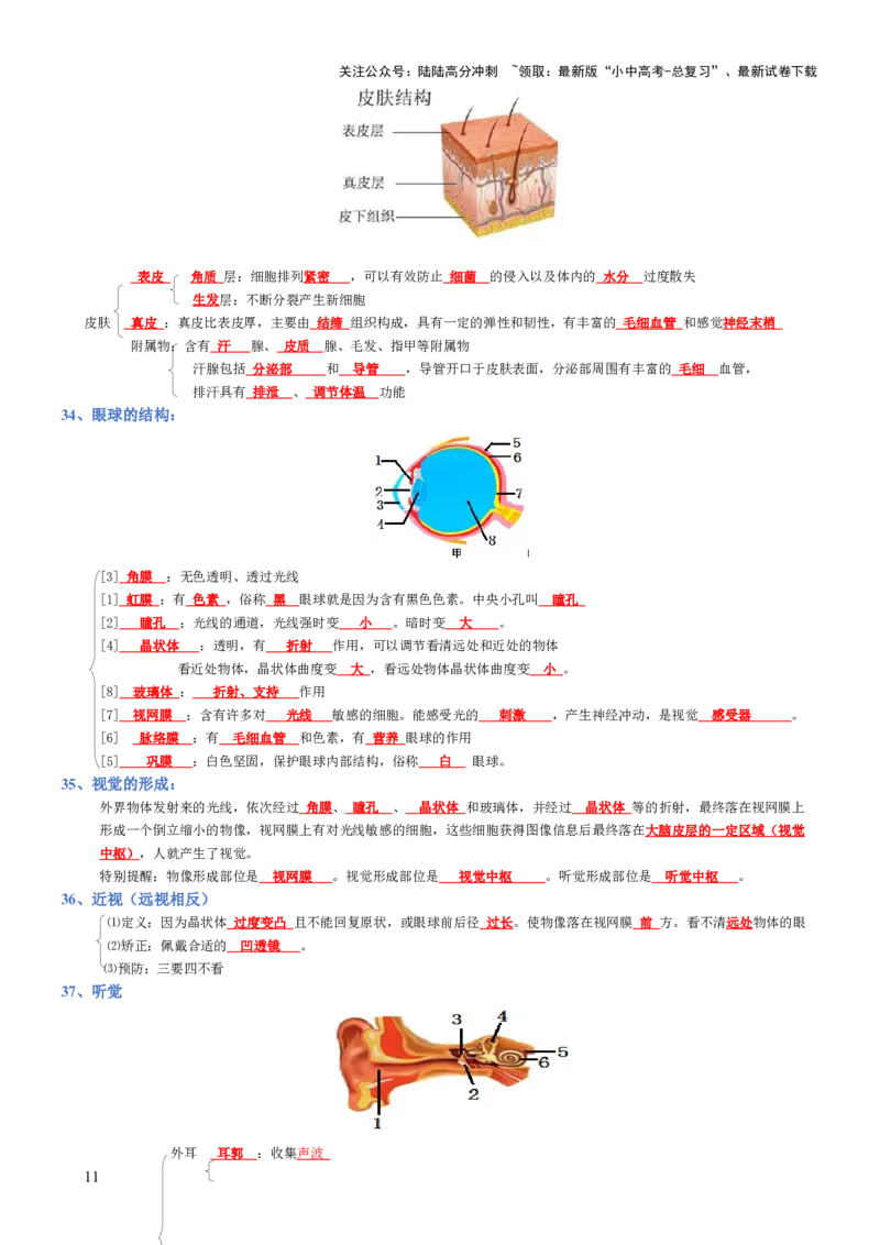 专题04生物圈中的人（背诵版）_02中考总复习（2026版更新中）_08-生物-中考总复习_2025中考复习资料_2025年中考生物知识梳理_专题04生物圈中的人_专题04生物圈中的人