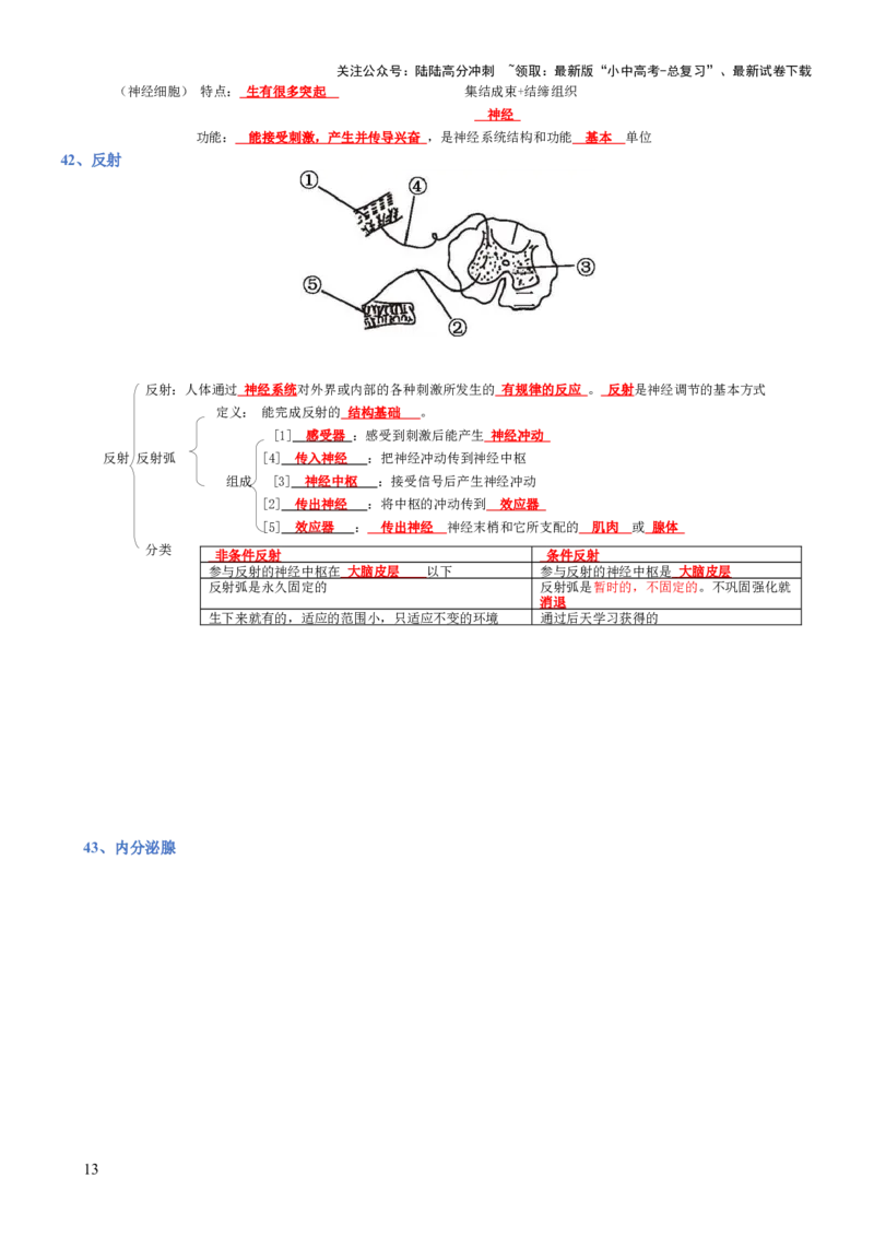 专题04生物圈中的人（背诵版）_02中考总复习（2026版更新中）_08-生物-中考总复习_2025中考复习资料_2025年中考生物知识梳理_专题04生物圈中的人_专题04生物圈中的人