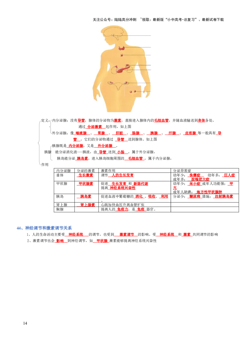 专题04生物圈中的人（背诵版）_02中考总复习（2026版更新中）_08-生物-中考总复习_2025中考复习资料_2025年中考生物知识梳理_专题04生物圈中的人_专题04生物圈中的人