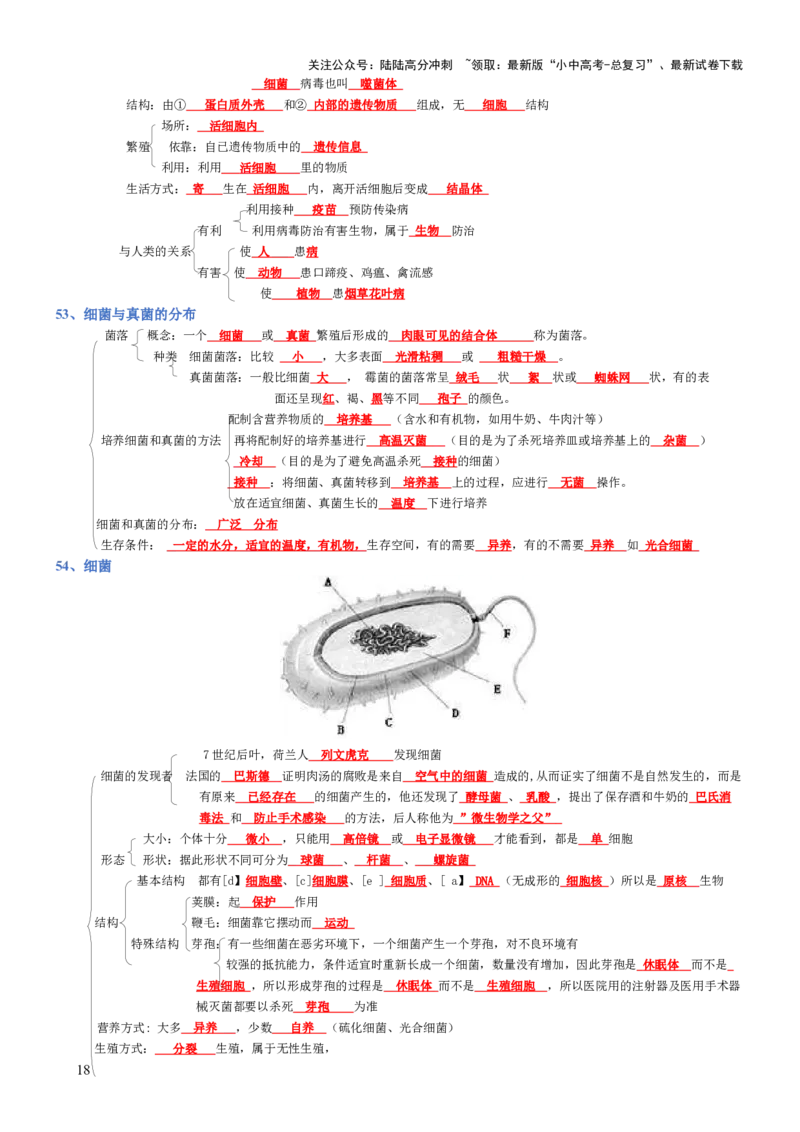 专题04生物圈中的人（背诵版）_02中考总复习（2026版更新中）_08-生物-中考总复习_2025中考复习资料_2025年中考生物知识梳理_专题04生物圈中的人_专题04生物圈中的人