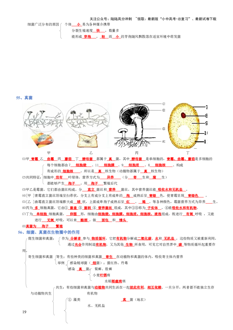 专题04生物圈中的人（背诵版）_02中考总复习（2026版更新中）_08-生物-中考总复习_2025中考复习资料_2025年中考生物知识梳理_专题04生物圈中的人_专题04生物圈中的人