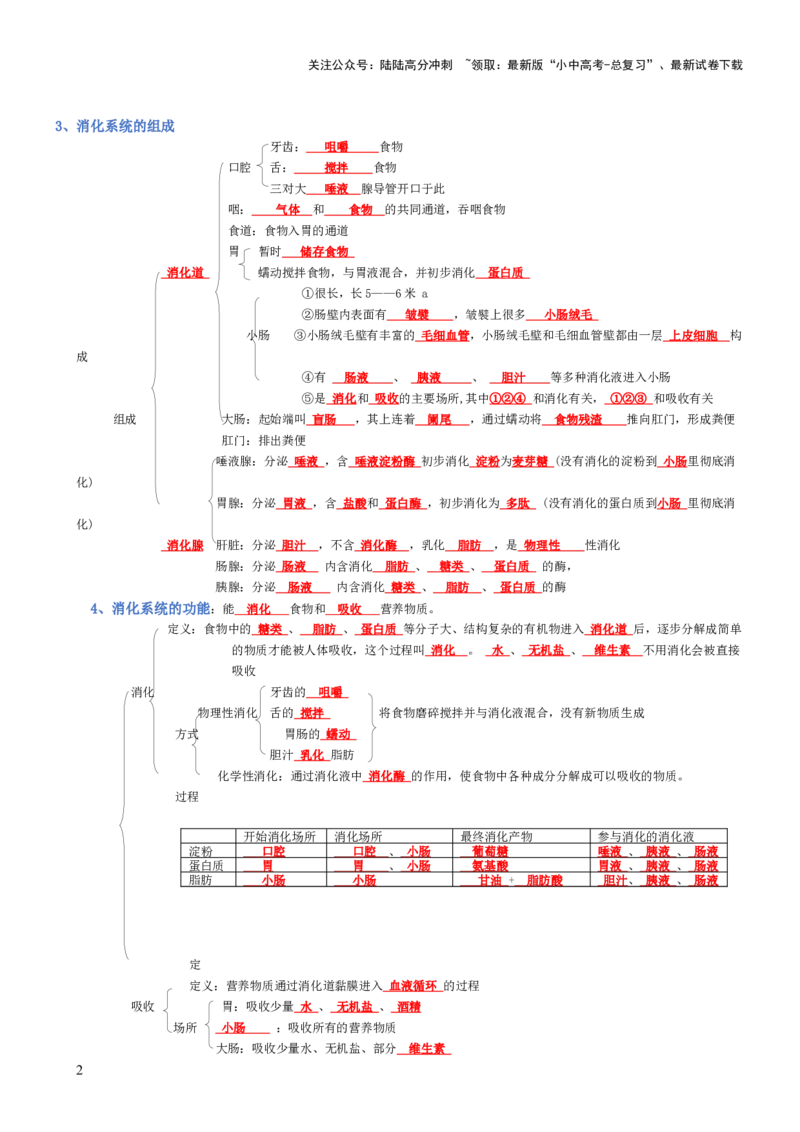专题04生物圈中的人（背诵版）_02中考总复习（2026版更新中）_08-生物-中考总复习_2025中考复习资料_2025年中考生物知识梳理_专题04生物圈中的人_专题04生物圈中的人